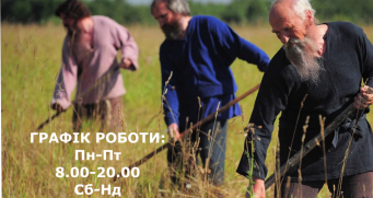 Сезон 2019