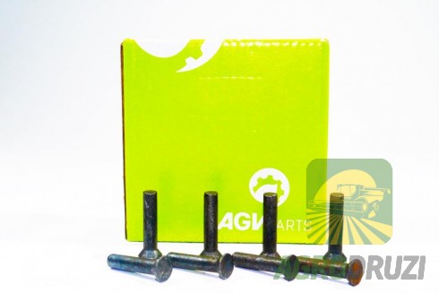 Заклепка з потаєм 6x30mm (500г) 237054