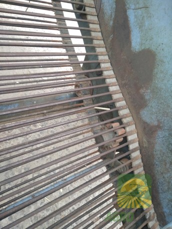 Комбайн картоплезбиральний Anna Z-644