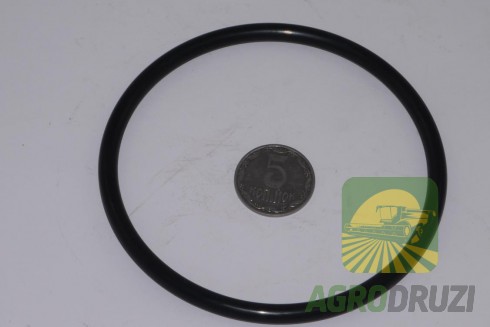 Кільце ущільнююче ходового варіатора CLAAS 751003