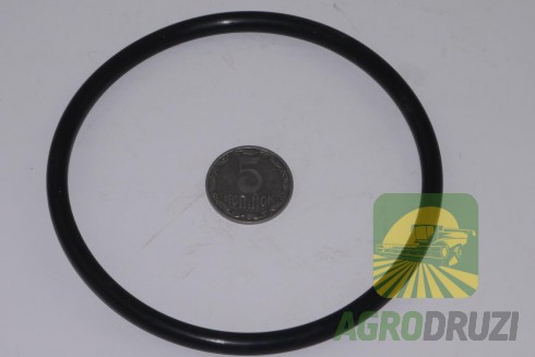 Кільце ущільнююче варіатора молотильного барабану CLAAS 751004