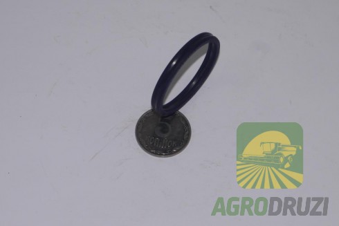 Кільце ущільнююче CLAAS 218000